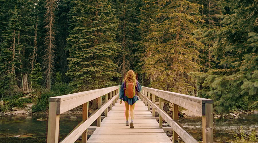 Top Hiking Destinations in the U.S.