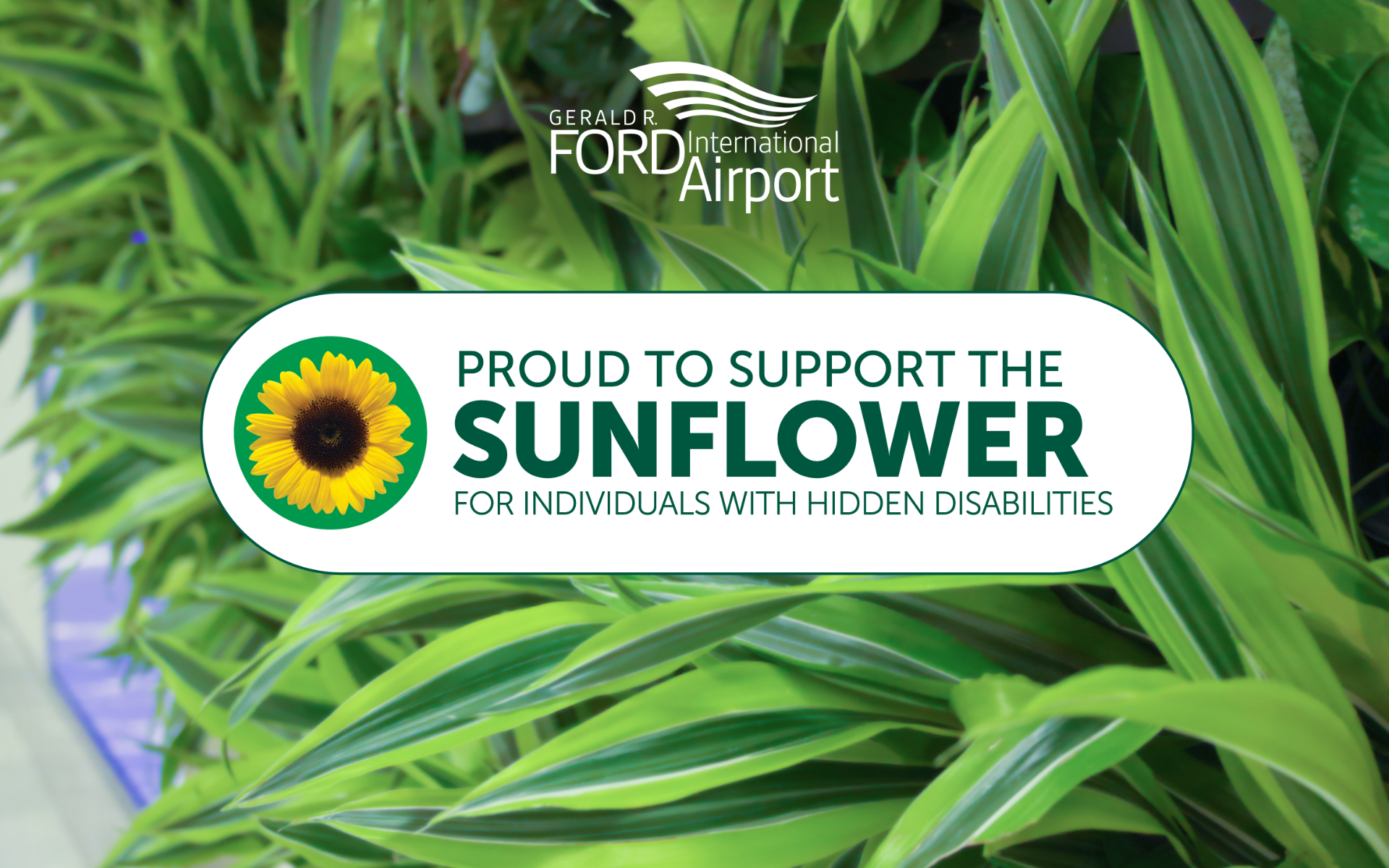 Ford International Airport Joins the Hidden Disabilities Sunflower Program