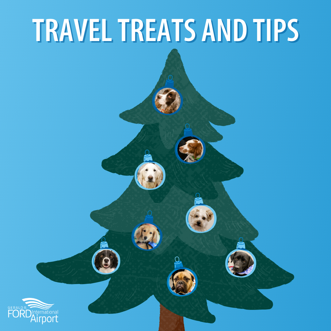 2022 Holiday Travel Treats and Tips